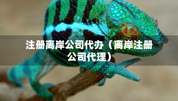 注冊(cè)離岸公司代辦（離岸注冊(cè)公司代理）