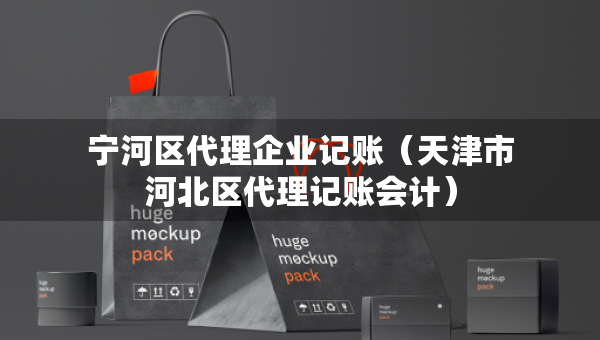 寧河區(qū)代理企業(yè)記賬（天津市河北區(qū)代理記賬會計）