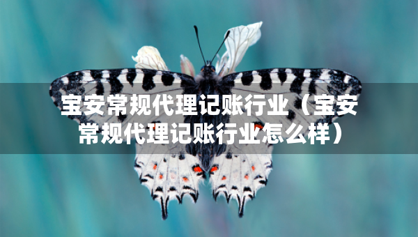 寶安常規(guī)代理記賬行業(yè)（寶安常規(guī)代理記賬行業(yè)怎么樣）