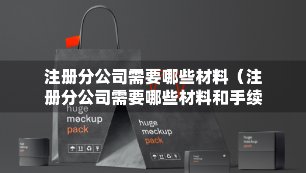注冊(cè)分公司需要哪些材料（注冊(cè)分公司需要哪些材料和手續(xù)）