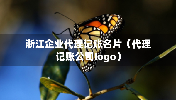 浙江企業(yè)代理記賬名片（代理記賬公司logo）