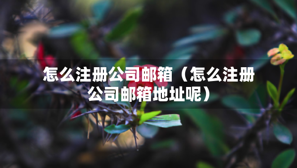 怎么注冊公司郵箱（怎么注冊公司郵箱地址呢）