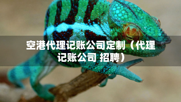 空港代理記賬公司定制（代理記賬公司 招聘）