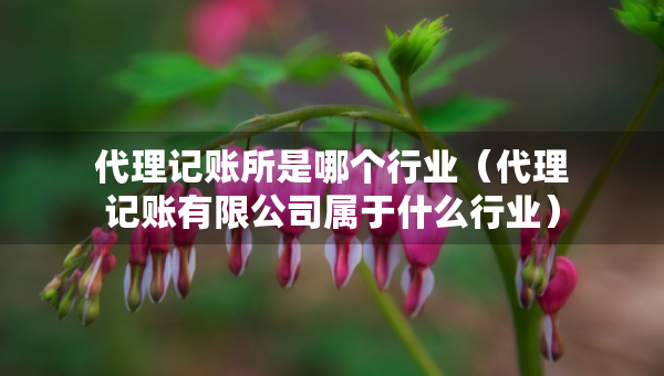 代理記賬所是哪個行業(yè)（代理記賬有限公司屬于什么行業(yè)）