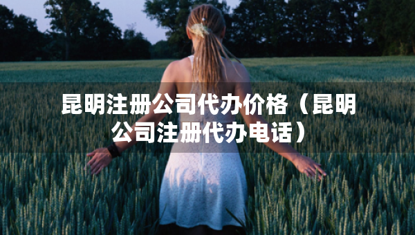 昆明注冊公司代辦價格（昆明公司注冊代辦電話）