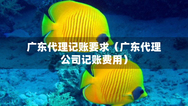 廣東代理記賬要求（廣東代理公司記賬費用）