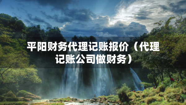 平陽財務(wù)代理記賬報價（代理記賬公司做財務(wù)）