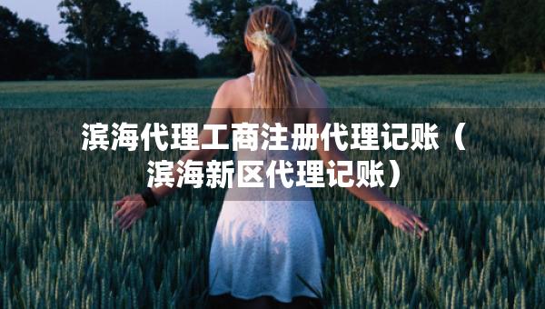 濱海代理工商注冊(cè)代理記賬（濱海新區(qū)代理記賬）