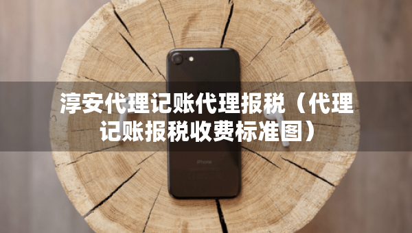 淳安代理記賬代理報稅（代理記賬報稅收費(fèi)標(biāo)準(zhǔn)圖）