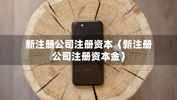 新注冊公司注冊資本（新注冊公司注冊資本金）
