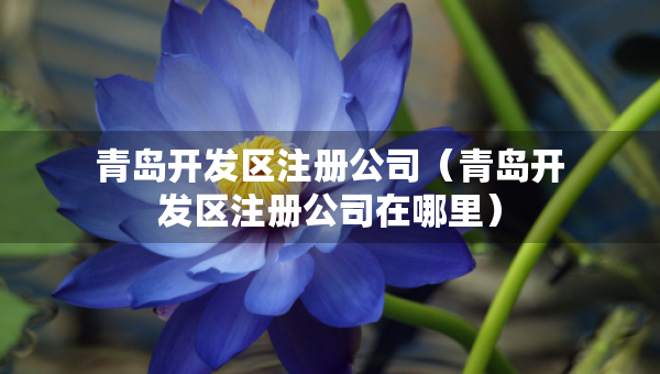 青島開發(fā)區(qū)注冊(cè)公司（青島開發(fā)區(qū)注冊(cè)公司在哪里）