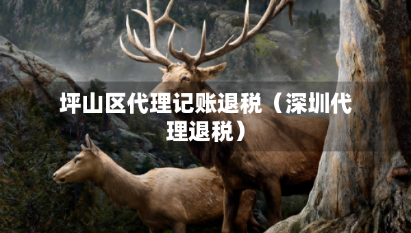坪山區(qū)代理記賬退稅（深圳代理退稅）