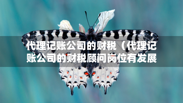 代理記賬公司的財稅（代理記賬公司的財稅顧問崗位有發(fā)展空間么）