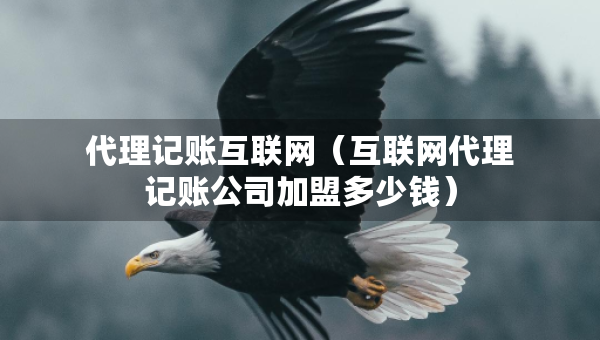 代理記賬互聯(lián)網(wǎng)（互聯(lián)網(wǎng)代理記賬公司加盟多少錢）