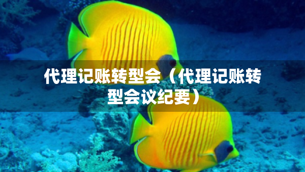 代理記賬轉(zhuǎn)型會(huì)（代理記賬轉(zhuǎn)型會(huì)議紀(jì)要）