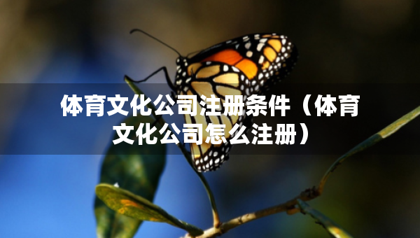 體育文化公司注冊條件（體育文化公司怎么注冊）