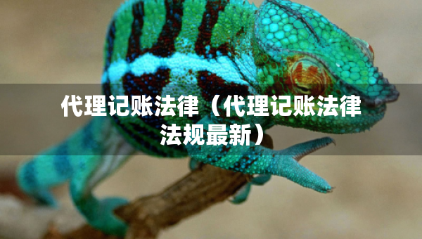 代理記賬法律（代理記賬法律法規(guī)最新）
