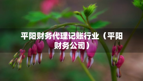 平陽(yáng)財(cái)務(wù)代理記賬行業(yè)（平陽(yáng)財(cái)務(wù)公司）