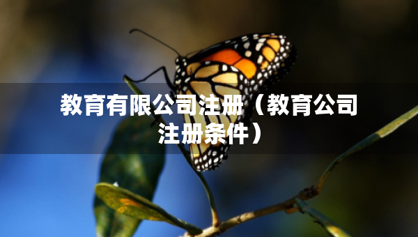 教育有限公司注冊(cè)（教育公司注冊(cè)條件）