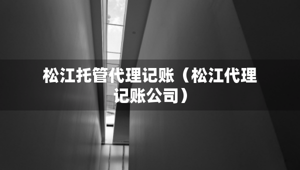 松江托管代理記賬（松江代理記賬公司）
