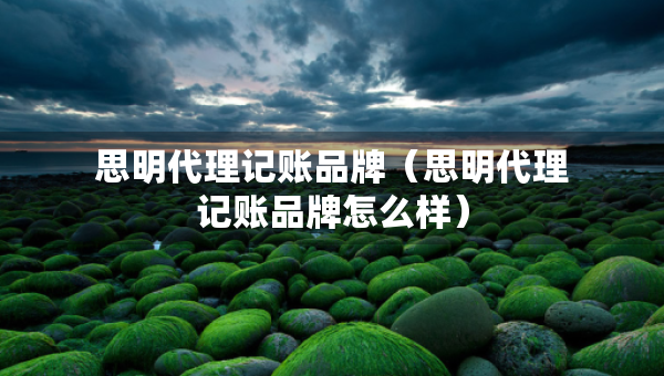 思明代理記賬品牌（思明代理記賬品牌怎么樣）
