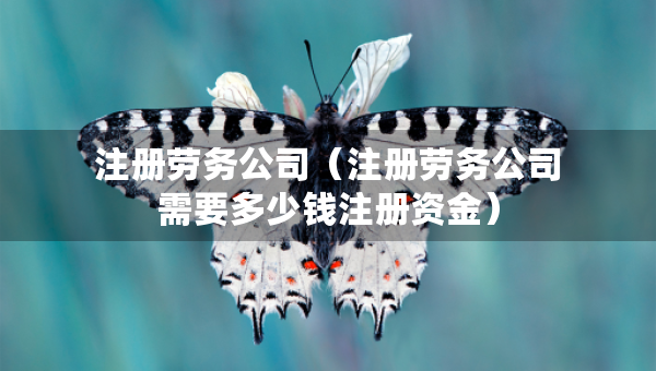 注冊勞務(wù)公司（注冊勞務(wù)公司需要多少錢注冊資金）