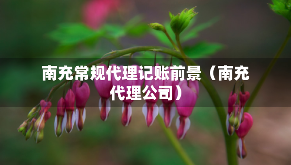 南充常規(guī)代理記賬前景（南充代理公司）