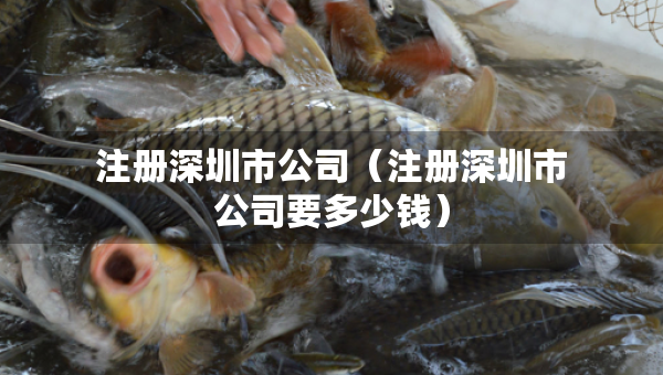 注冊深圳市公司（注冊深圳市公司要多少錢）