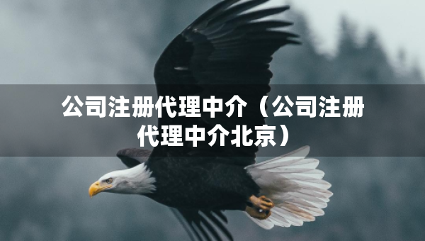 公司注冊代理中介（公司注冊代理中介北京）
