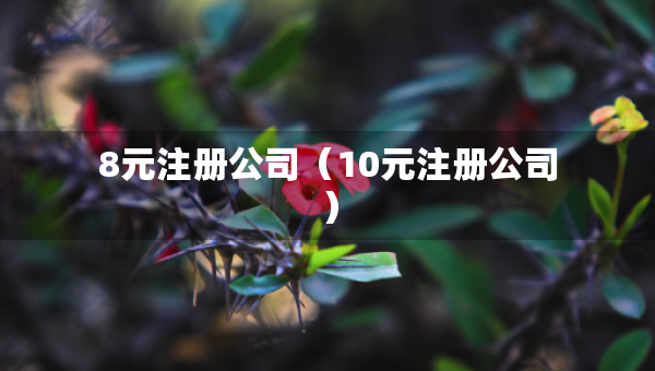 8元注冊(cè)公司（10元注冊(cè)公司）
