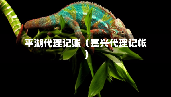 平湖代理記賬（嘉興代理記帳）