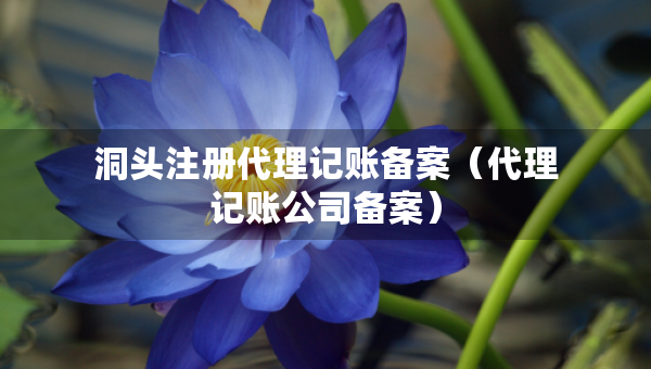 洞頭注冊代理記賬備案（代理記賬公司備案）