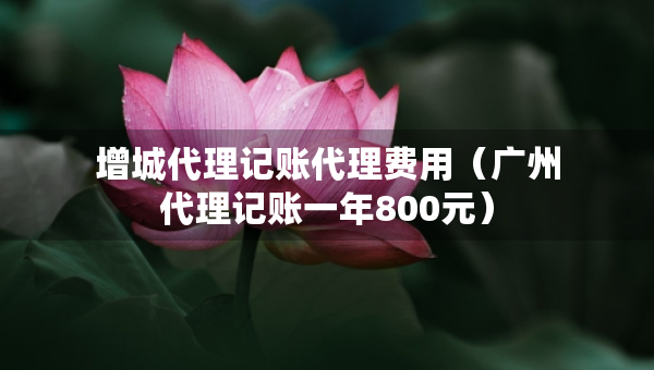 增城代理記賬代理費(fèi)用（廣州代理記賬一年800元）