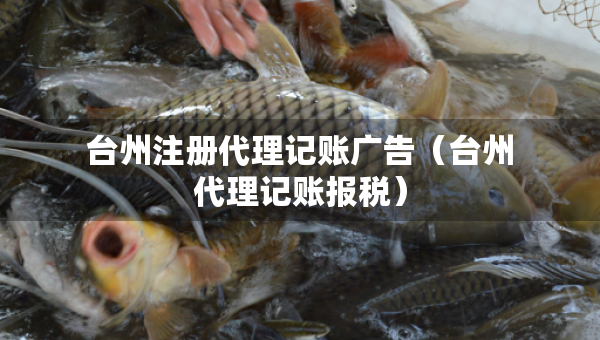 臺州注冊代理記賬廣告（臺州代理記賬報稅）