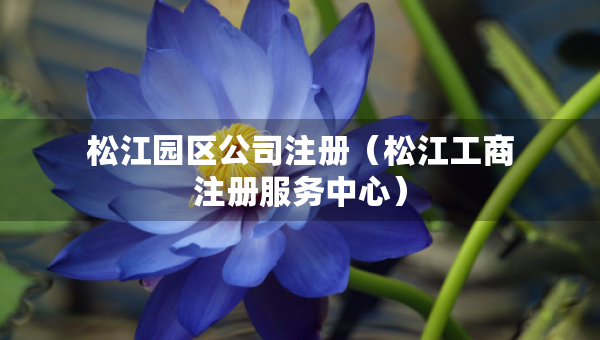 松江園區(qū)公司注冊（松江工商注冊服務中心）