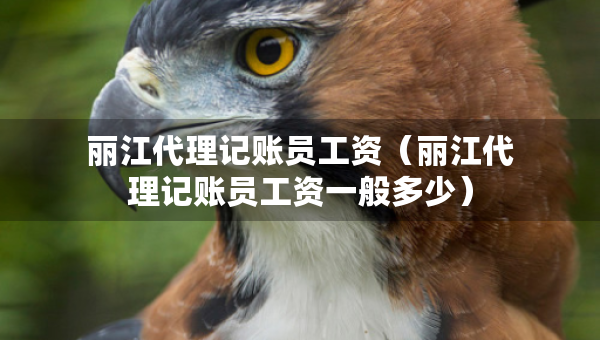 麗江代理記賬員工資（麗江代理記賬員工資一般多少）
