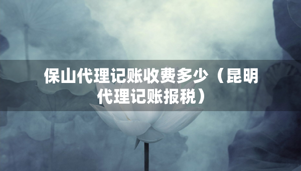 保山代理記賬收費多少（昆明代理記賬報稅）
