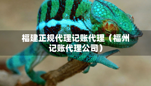 福建正規(guī)代理記賬代理（福州記賬代理公司）