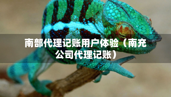 南部代理記賬用戶體驗(yàn)（南充公司代理記賬）
