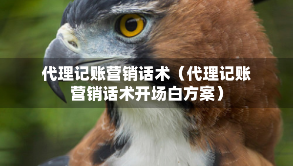 代理記賬營銷話術(shù)（代理記賬營銷話術(shù)開場白方案）