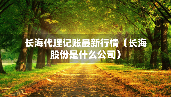 長(zhǎng)海代理記賬最新行情（長(zhǎng)海股份是什么公司）