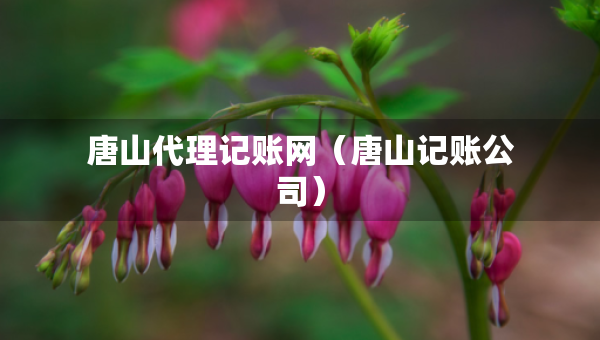 唐山代理記賬網(wǎng)（唐山記賬公司）