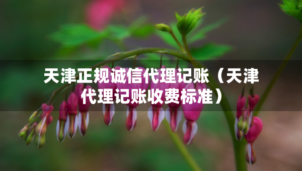 天津正規(guī)誠信代理記賬（天津代理記賬收費標準）