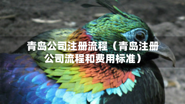 青島公司注冊流程（青島注冊公司流程和費(fèi)用標(biāo)準(zhǔn)）