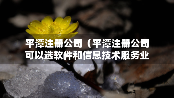 平潭注冊公司（平潭注冊公司可以選軟件和信息技術(shù)服務(wù)業(yè)）