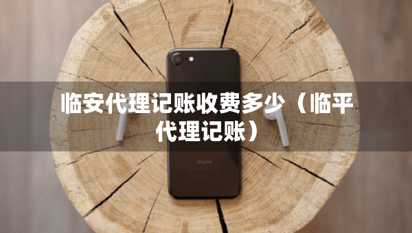 臨安代理記賬收費(fèi)多少（臨平代理記賬）