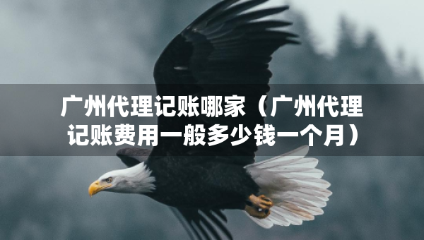 廣州代理記賬哪家（廣州代理記賬費(fèi)用一般多少錢一個(gè)月）