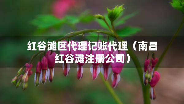 紅谷灘區(qū)代理記賬代理（南昌紅谷灘注冊公司）