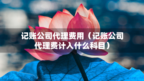 記賬公司代理費(fèi)用（記賬公司代理費(fèi)計入什么科目）