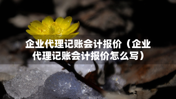 企業(yè)代理記賬會計報價（企業(yè)代理記賬會計報價怎么寫）